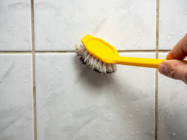 Best Mold Testing  in Cetronia, PA
