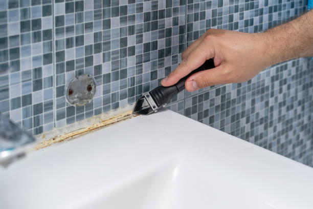 Best Black Mold Removal  in Cetronia, PA
